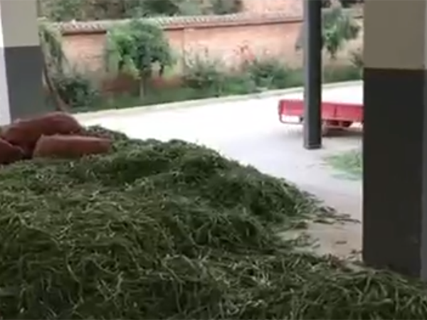 清洗漂燙機